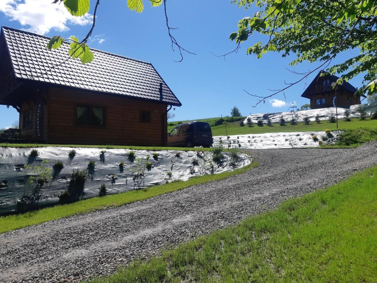 Domek Na Wzgorzu "Wilk" Swiatkowa Mala Extérieur photo